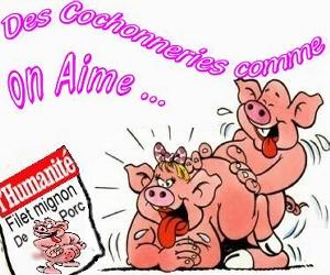 Boulets � la li�geoise