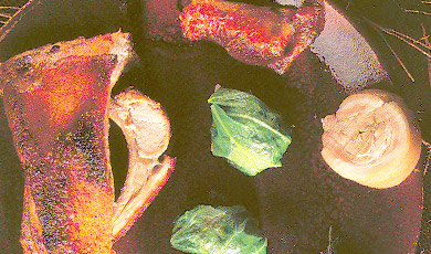 C�telettes de cochon de lait au miel citron et thym...