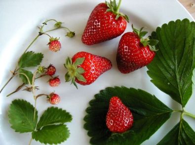 Les fraises...