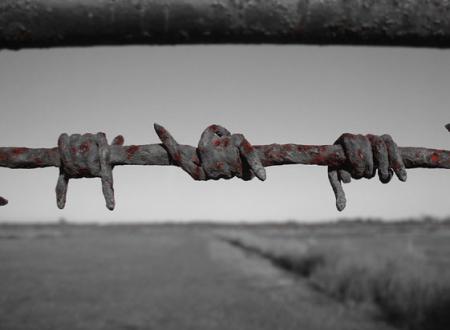 Mort d'un r�ve ou naissance putride?