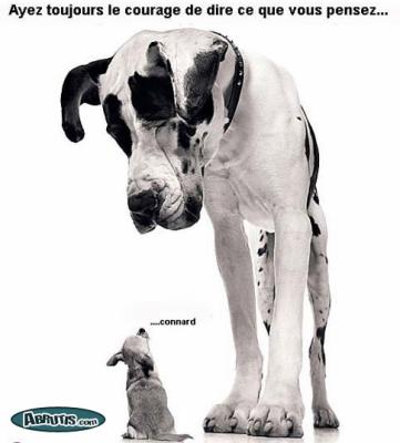 Complexe d'inf�riorit�?