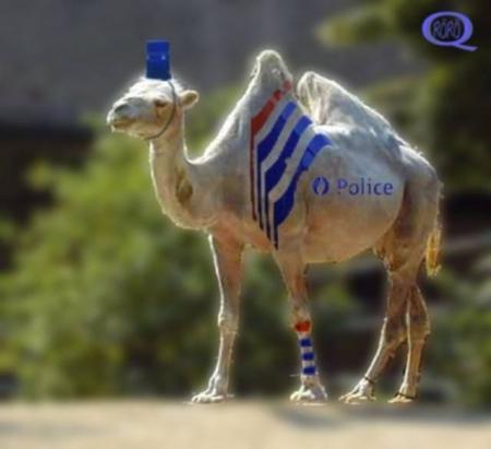 Notre nouvelle police...